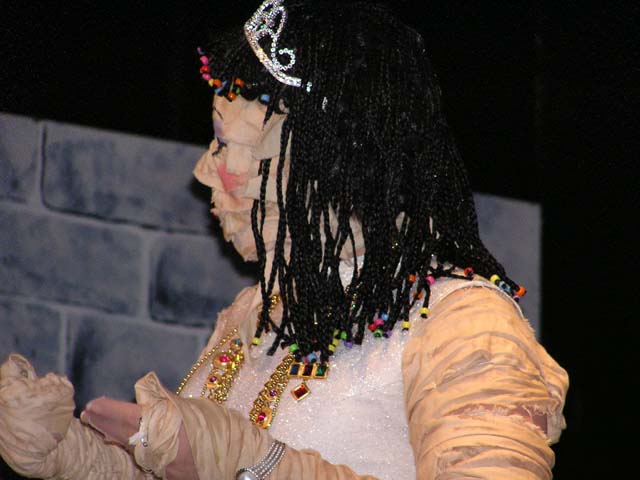 OLYMPUS DIGITAL CAMERA         